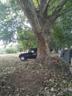 The Corryong Cup 2019